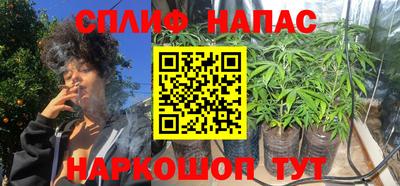 спиды Ливны